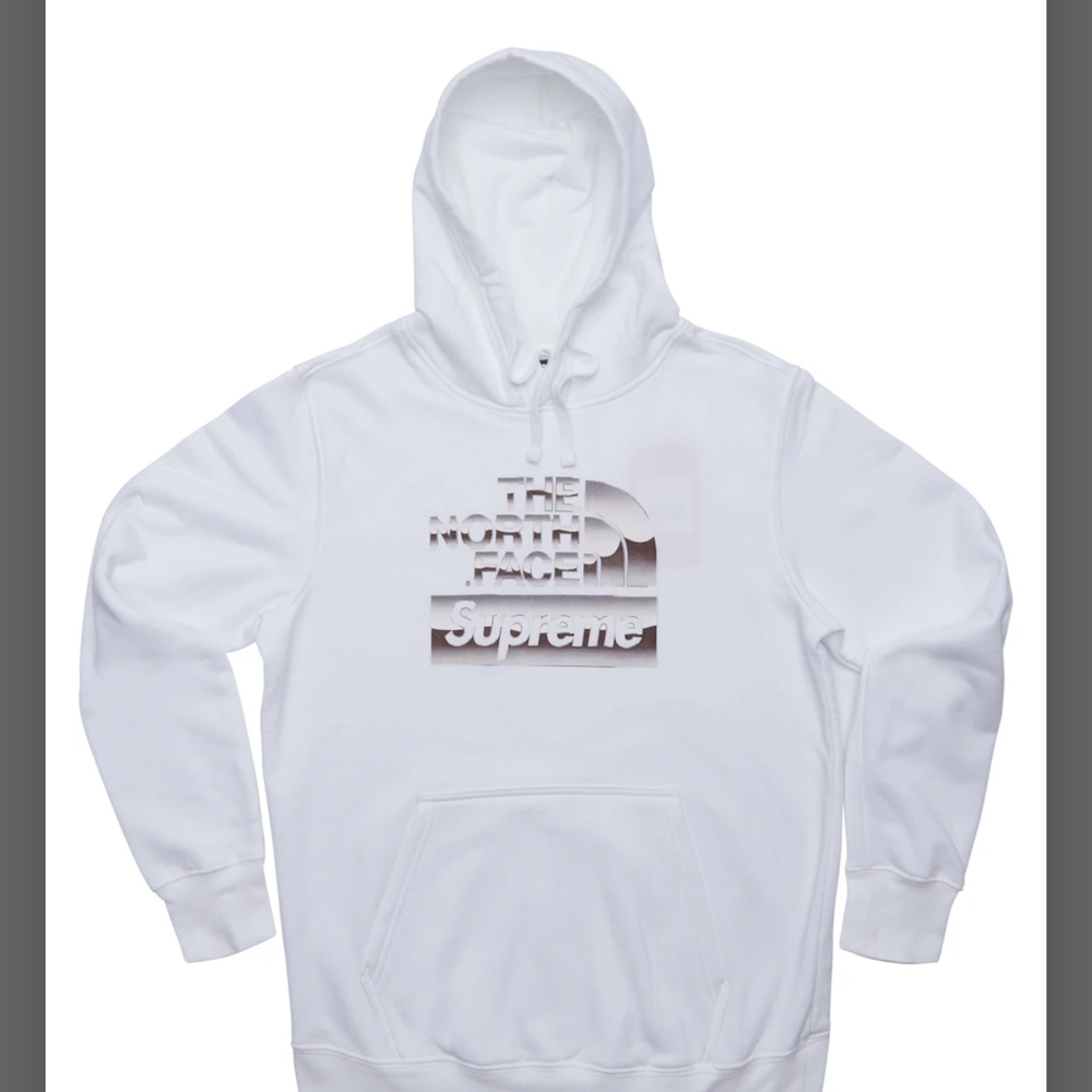 Supreme X North Face Metallic Logo Hoodie Size Small